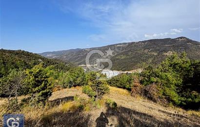 CB BLACK'TEN DOĞANCI SATILIK MANZARALI 9342M2 ARAZİ