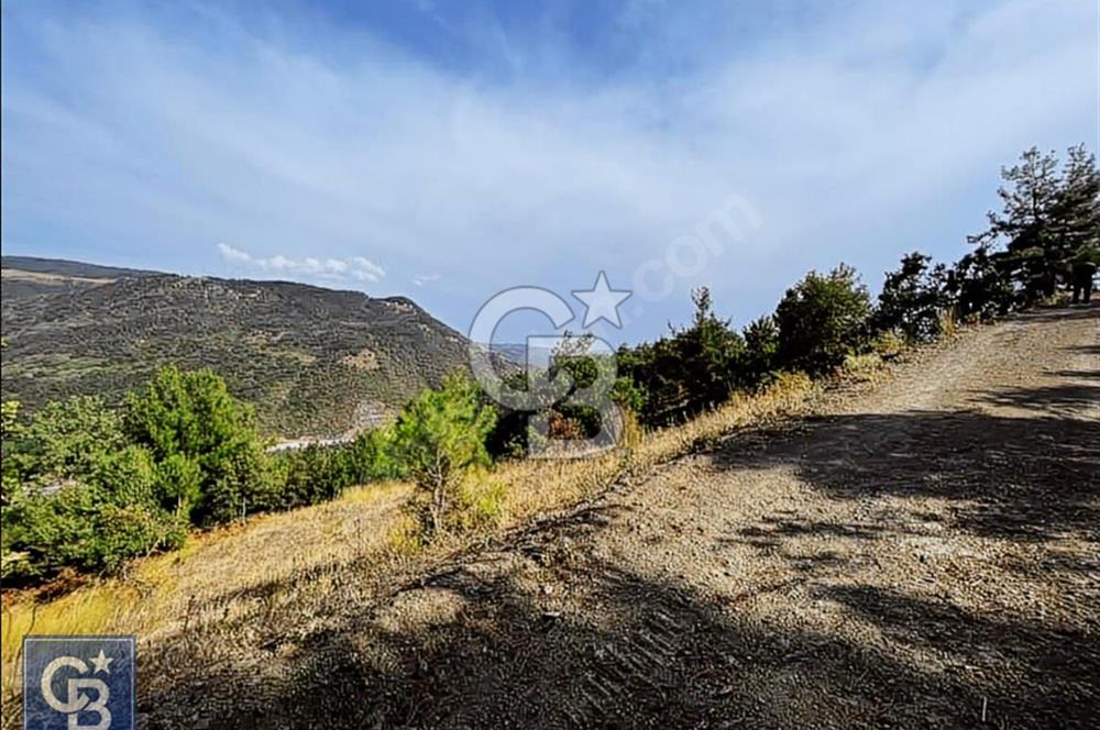 CB BLACK'TEN DOĞANCI SATILIK MANZARALI 9342M2 ARAZİ