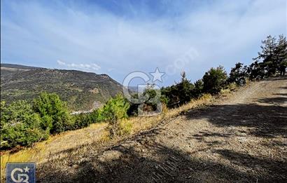 CB BLACK'TEN DOĞANCI SATILIK MANZARALI 9342M2 ARAZİ