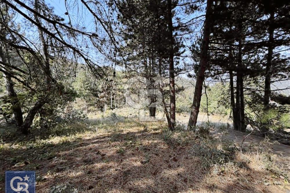 CB BLACK'TEN DOĞANCI SATILIK MANZARALI 9342M2 ARAZİ