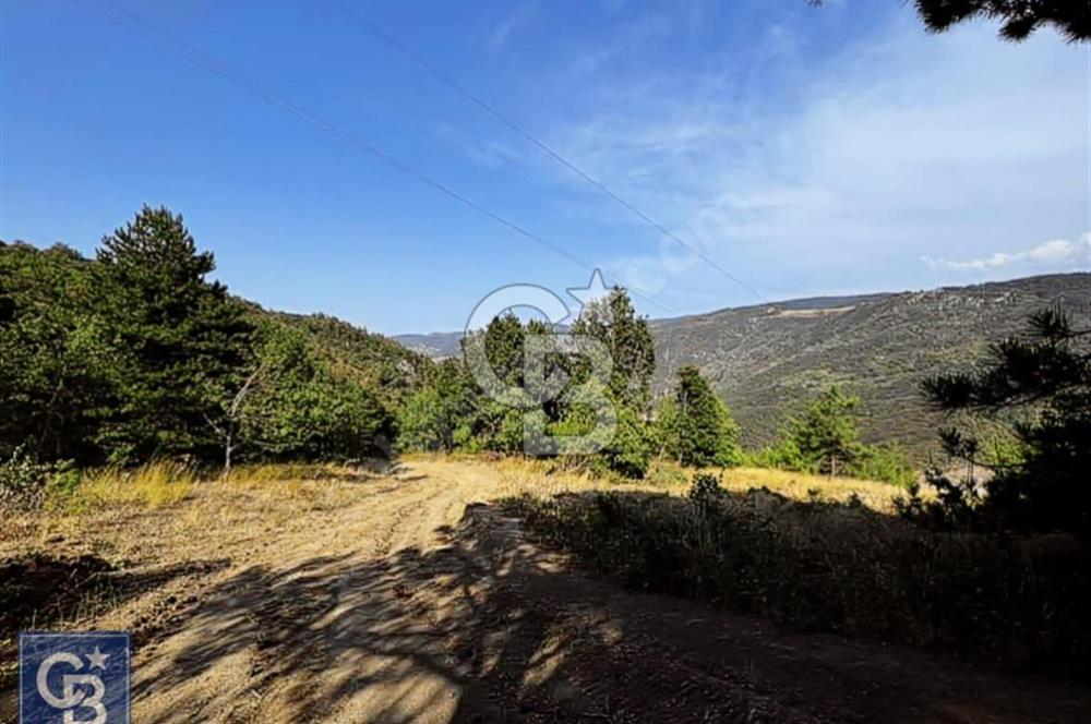 CB BLACK'TEN DOĞANCI SATILIK MANZARALI 9342M2 ARAZİ