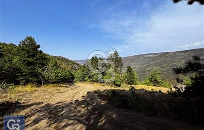 CB BLACK'TEN DOĞANCI SATILIK MANZARALI 9342M2 ARAZİ