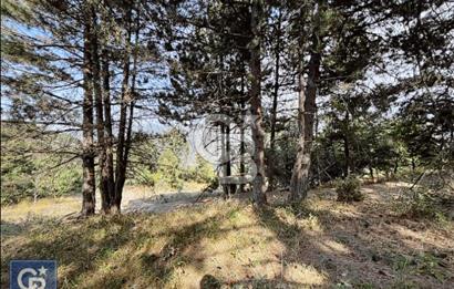 CB BLACK'TEN DOĞANCI SATILIK MANZARALI 9342M2 ARAZİ