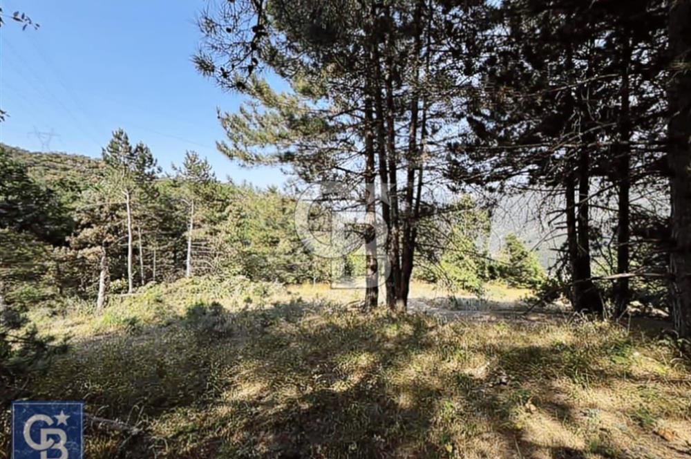 CB BLACK'TEN DOĞANCI SATILIK MANZARALI 9342M2 ARAZİ