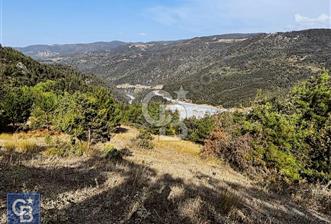 CB BLACK'TEN DOĞANCI SATILIK MANZARALI 9342M2 ARAZİ
