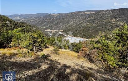 CB BLACK'TEN DOĞANCI SATILIK MANZARALI 9342M2 ARAZİ