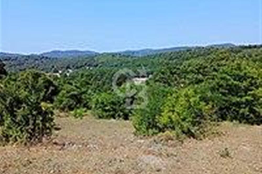 ŞİLE OSMANKÖY MERKEZİNDE KONUT İMARLI ARSA