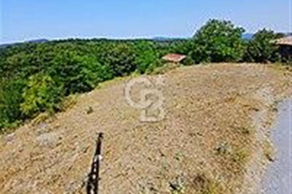 ŞİLE OSMANKÖY MERKEZİNDE KONUT İMARLI ARSA
