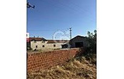 ÇANAKKALE/BAYRAMİÇ/TÜRKMENLİ KÖYÜ/SATILIK TARLA ELEKTİRİK SU VAR