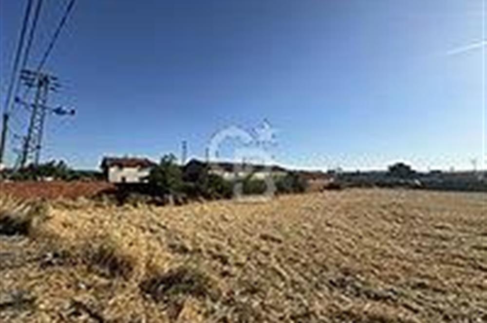 ÇANAKKALE/BAYRAMİÇ/TÜRKMENLİ KÖYÜ/SATILIK TARLA ELEKTİRİK SU VAR