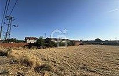 ÇANAKKALE/BAYRAMİÇ/TÜRKMENLİ KÖYÜ/SATILIK TARLA ELEKTİRİK SU VAR