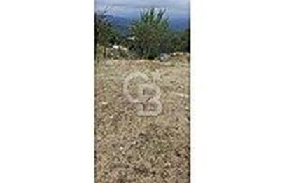 ÇANAKKALE/BAYRAMİÇ/SARIOT KÖYÜ SATILIK TARLA