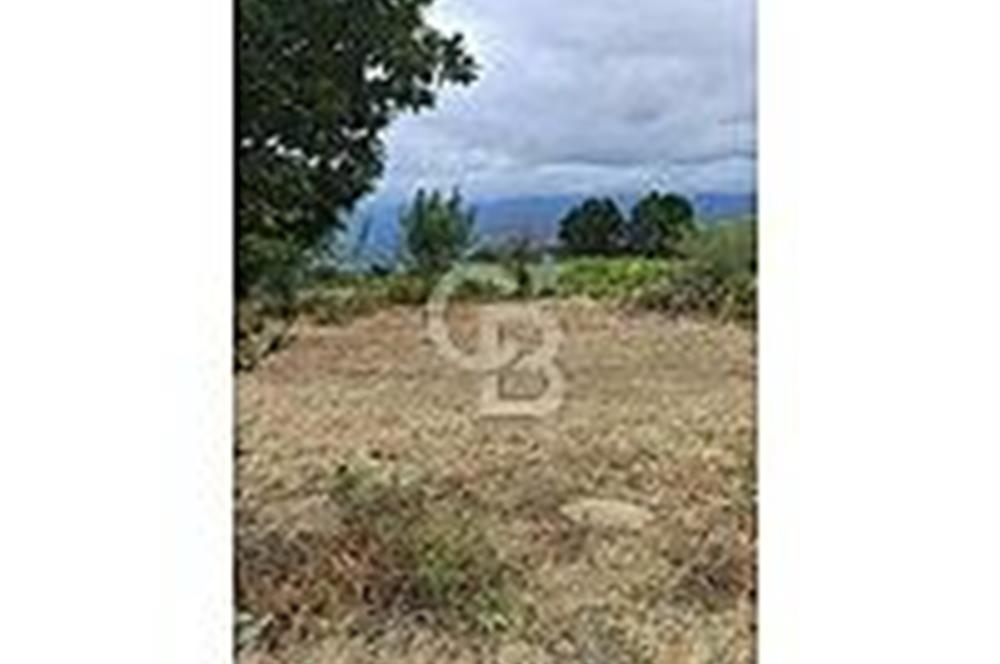 ÇANAKKALE/BAYRAMİÇ/SARIOT KÖYÜ SATILIK TARLA