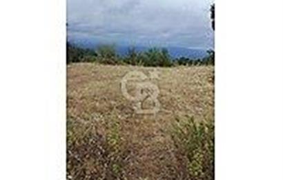 ÇANAKKALE/BAYRAMİÇ/SARIOT KÖYÜ SATILIK TARLA
