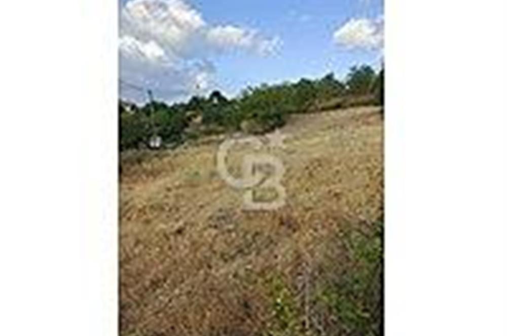 ÇANAKKALE/BAYRAMİÇ/KORUCAK KÖYÜ 1.510 M2 SATILIK ARSA