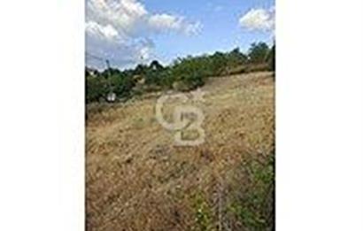 ÇANAKKALE/BAYRAMİÇ/KORUCAK KÖYÜ 1.510 M2 SATILIK ARSA