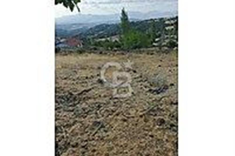 ÇANAKKALE/BAYRAMİÇ/KORUCAK KÖYÜ 1.510 M2 SATILIK ARSA