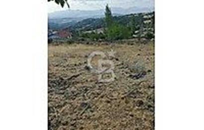 ÇANAKKALE/BAYRAMİÇ/KORUCAK KÖYÜ 1.510 M2 SATILIK ARSA