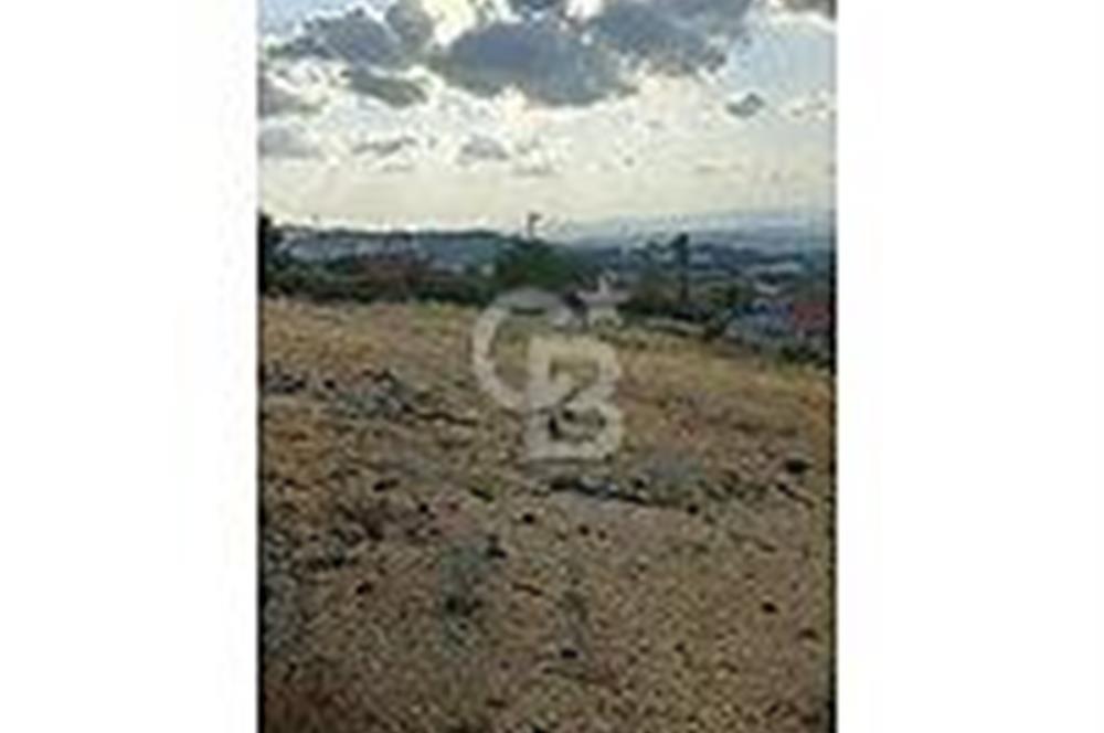 ÇANAKKALE/BAYRAMİÇ/KORUCAK KÖYÜ 1.510 M2 SATILIK ARSA
