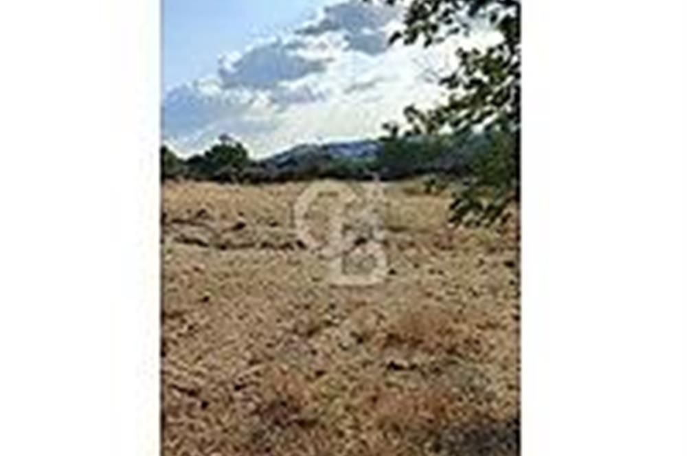 ÇANAKKALE/BAYRAMİÇ/KORUCAK KÖYÜ 1.510 M2 SATILIK ARSA