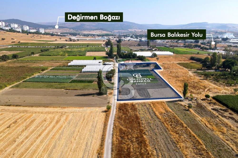 CB EAGLE'DAN YENİ MAHALLE'DE 5.285 m² SATILIK TARLA