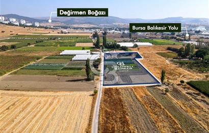 CB EAGLE'DAN YENİ MAHALLE'DE 5.285 m² SATILIK TARLA