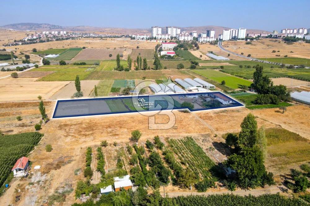 CB EAGLE'DAN YENİ MAHALLE'DE 5.285 m² SATILIK TARLA