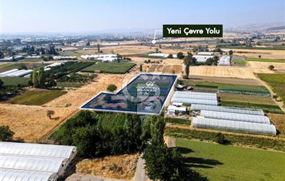 CB EAGLE'DAN YENİ MAHALLE'DE 5.285 m² SATILIK TARLA