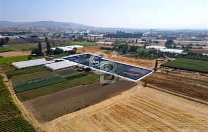 CB EAGLE'DAN YENİ MAHALLE'DE 5.285 m² SATILIK TARLA