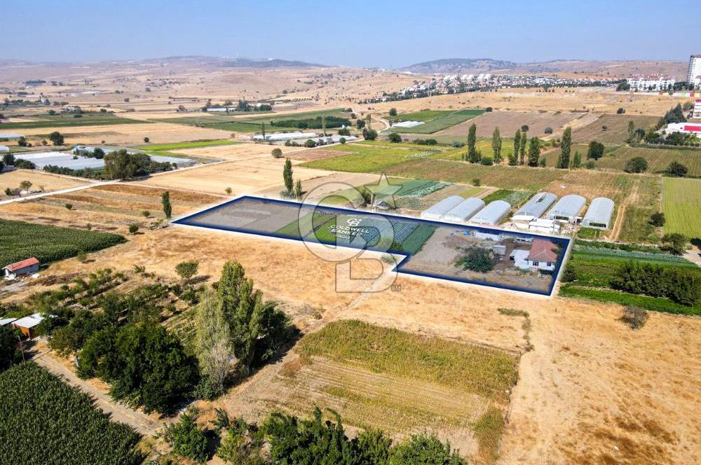CB EAGLE'DAN YENİ MAHALLE'DE 5.285 m² SATILIK TARLA