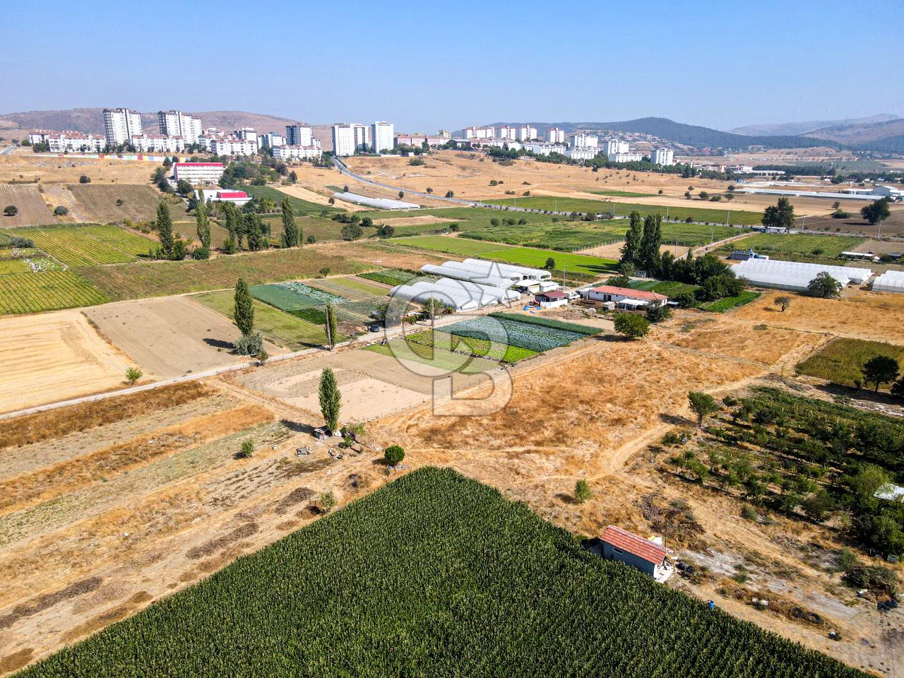 CB EAGLE'DAN YENİ MAHALLE'DE 5.285 m² SATILIK TARLA