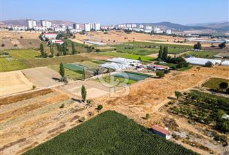 CB EAGLE'DAN YENİ MAHALLE'DE 5.285 m² SATILIK TARLA