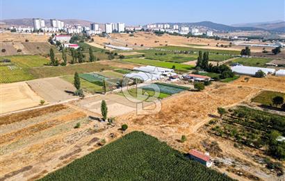 CB EAGLE'DAN YENİ MAHALLE'DE 5.285 m² SATILIK TARLA