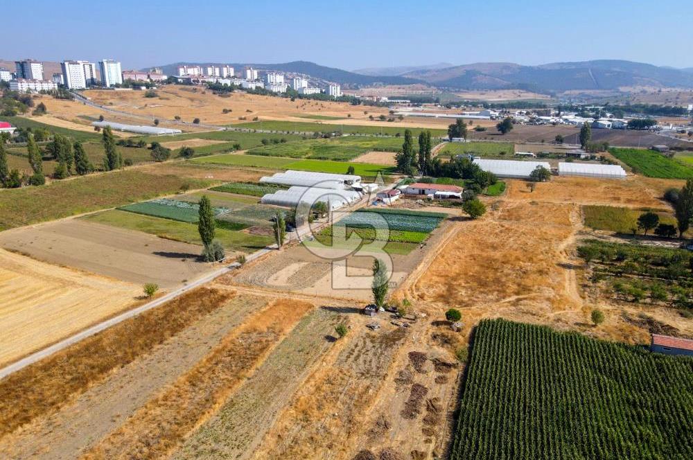 CB EAGLE'DAN YENİ MAHALLE'DE 5.285 m² SATILIK TARLA