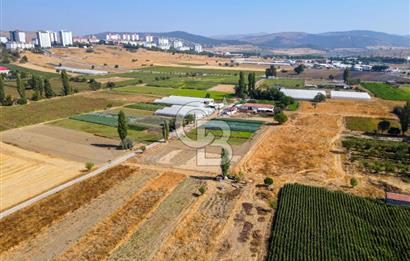 CB EAGLE'DAN YENİ MAHALLE'DE 5.285 m² SATILIK TARLA