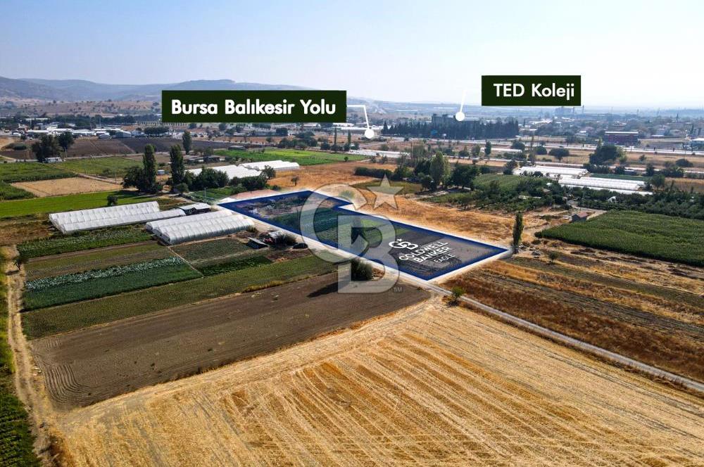 CB EAGLE'DAN YENİ MAHALLE'DE 5.285 m² SATILIK TARLA