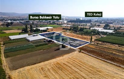 CB EAGLE'DAN YENİ MAHALLE'DE 5.285 m² SATILIK TARLA