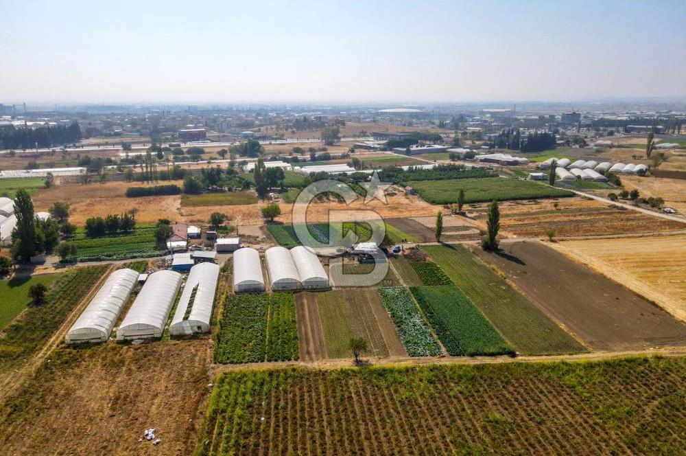 CB EAGLE'DAN YENİ MAHALLE'DE 5.285 m² SATILIK TARLA