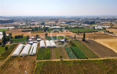 CB EAGLE'DAN YENİ MAHALLE'DE 5.285 m² SATILIK TARLA