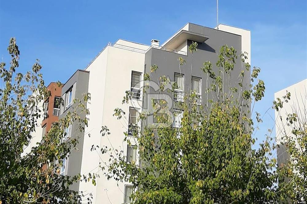 Selimpaşa TOKİ Emlak Konutlarında 1+1 Kiralık Teraslı Daire 