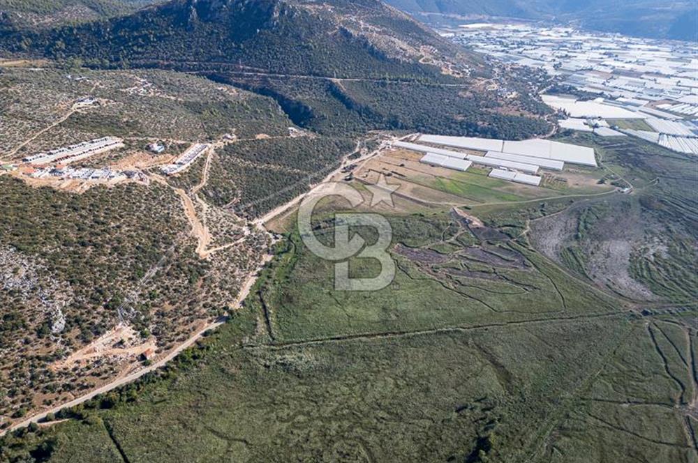 CB ARDEN'DEN ANTALYA KAŞ YEŞİLKÖY - TAKASA UYGUN -SATILIK TARLA
