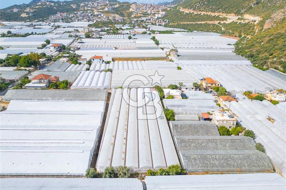 CB ARDEN'DEN DEMRE KARABUCAK SATILIK 3318 M2 MÜSTAKİL SERA