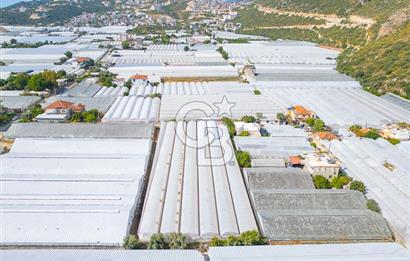 CB ARDEN'DEN DEMRE KARABUCAK SATILIK 3318 M2 MÜSTAKİL SERA