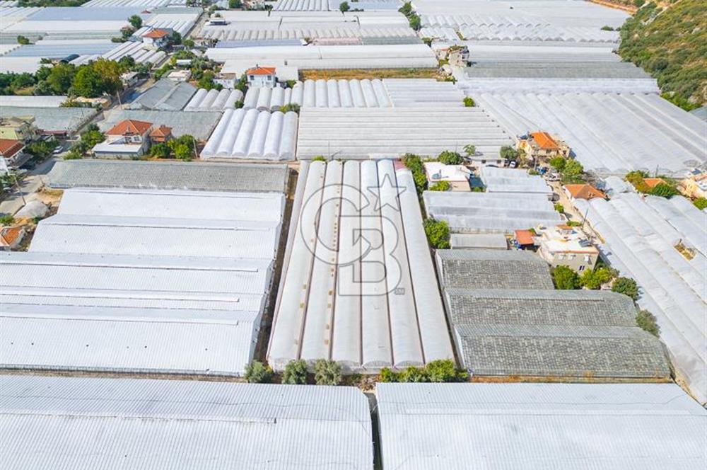 CB ARDEN'DEN DEMRE KARABUCAK SATILIK 3318 M2 MÜSTAKİL SERA
