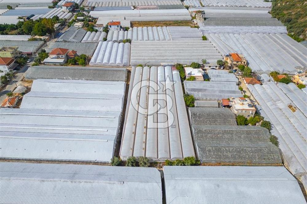 CB ARDEN'DEN DEMRE KARABUCAK SATILIK 3318 M2 MÜSTAKİL SERA