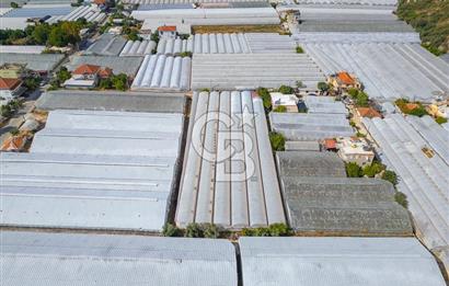 CB ARDEN'DEN DEMRE KARABUCAK SATILIK 3318 M2 MÜSTAKİL SERA