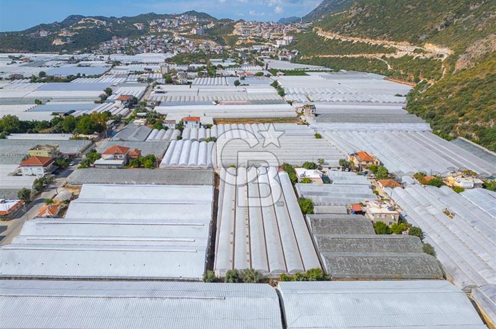 CB ARDEN'DEN DEMRE KARABUCAK SATILIK 3318 M2 MÜSTAKİL SERA