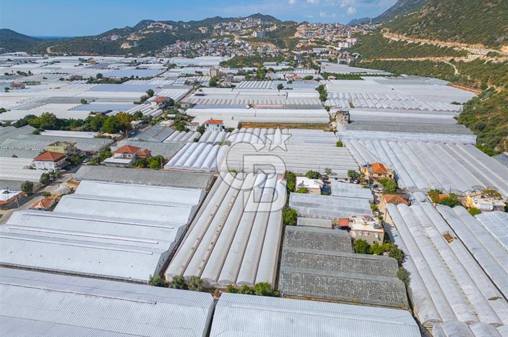 CB ARDEN'DEN DEMRE KARABUCAK SATILIK 3318 M2 MÜSTAKİL SERA