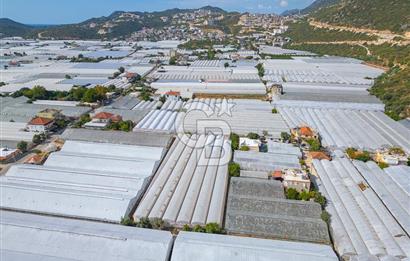 CB ARDEN'DEN DEMRE KARABUCAK SATILIK 3318 M2 MÜSTAKİL SERA
