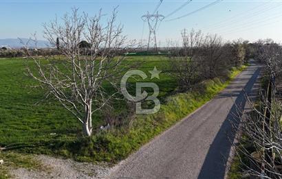 E.FOÇA YOLU ÜZERİ YOLA CEPHE SATILIK 7365 M2 TARLA